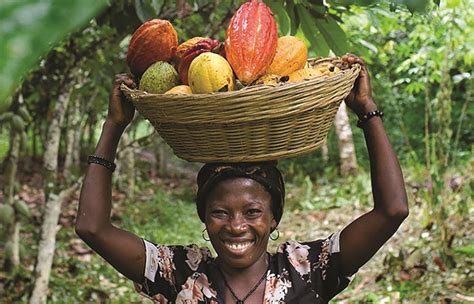 A Happy Female Cocoa Farmer Participating In The Skills Exchange