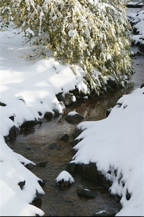 Snowy Creek Stock Image Image Of Scenic Flow Snow 41086459
