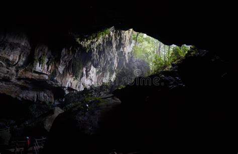 Clearwater Cave At Mulu National Park Malaysia Stock Photo Image Of