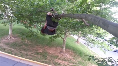 Kid Falls Out Of Tree Youtube