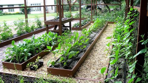 Vegetable And Herb Garden Layout Vege Choices