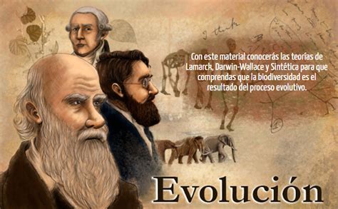 Teoria De Darwin Sobre La Evolucion