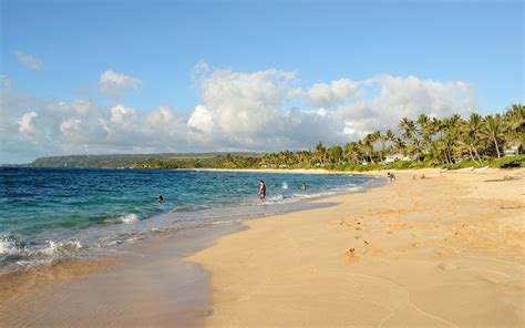 Laniakea Beach Oahu Hawaii World Beach Guide
