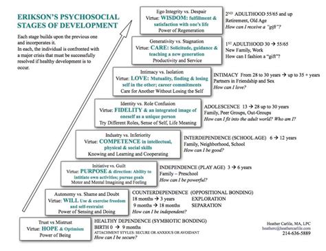 30 erikson stages of development chart pdf pryncepality. COMPREHENSIVE Erikson's Stages of Development Adolescents ...