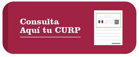 Existen dos opciones de consulta, la primera si se conoce la curp. Restart¿Cómo sacar tu CURP? - Restart