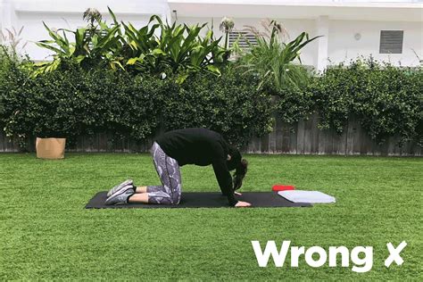 Cat Cow Gif - Pin on GIFS - fineartsengraving