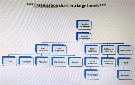 Hkfirstsem Organization Chart Of Housekeeping Department