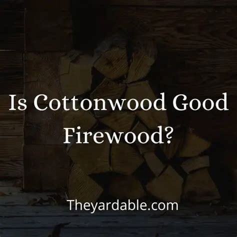 Is Cottonwood Good Firewood Theyardable