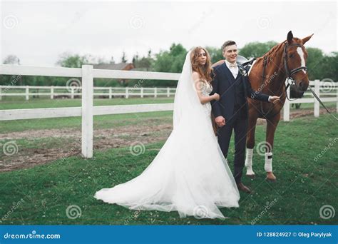 Newly Married Wedding Couple Stand With Beautiful Horse On Nature Stock