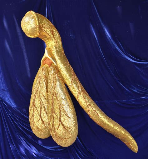 A Golden Way To Draw Attention To An Overlooked Piece Of Female Anatomy