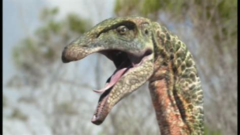 Therizinosaurus Tv Dinos Wiki Fandom Powered By Wikia