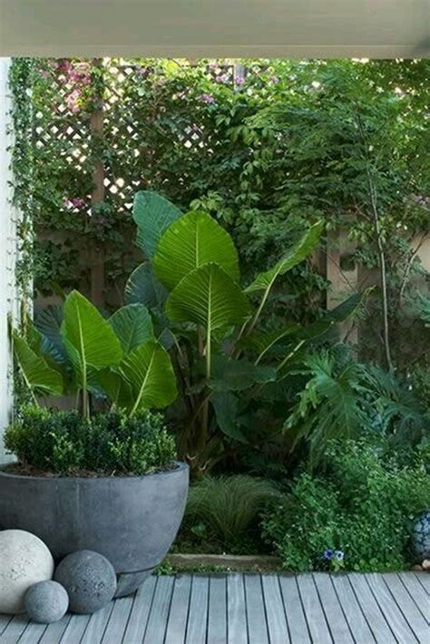 Small Tropical Garden 40 Small Courtyard Design With Some House Plants