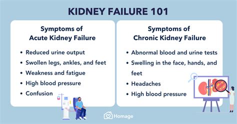 Kidney Failure Symptoms Stages Causes Prevention Homage Malaysia