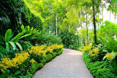Singapore Botanic Gardens Walking Paths Wallpaper Hd Nature 4k