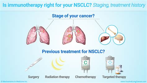 Slide Show Immunotherapy Treatments For Non Small Cell Lung Cancer NSCLC