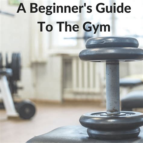 A Beginners Guide To The Gym No Need To Fear The Gym Any Longer
