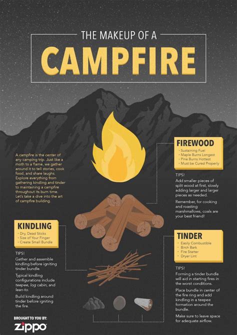 Building The Perfect Campfire Infographic 50 Campfires