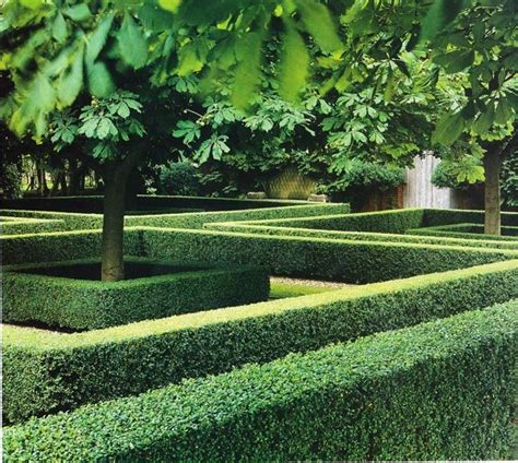 Hedges provides shelter, muffles sound, divides the garden into 'rooms', makes a nice backdrop to the border and. Boxwood Hedge | Garden hedges, Boxwood garden, Landscape ...