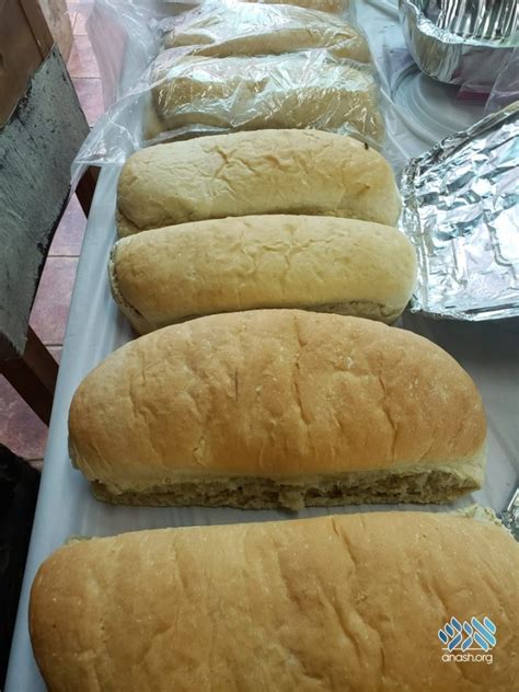 Chabad Brings Kosher Meat And Jewish Camp To Cuba