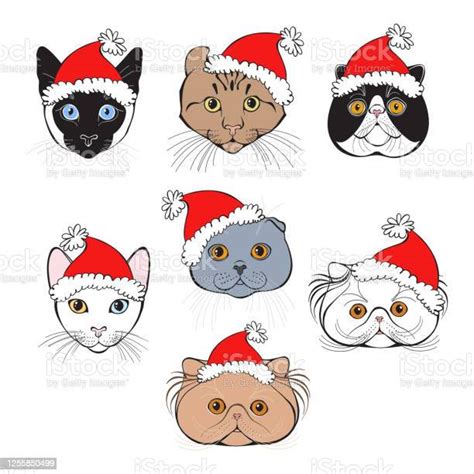 New Years Cats Of Different Breeds Vector Set Of Cats Face In Santas