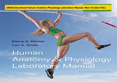 Readdownload Human Anatomy Physiology Laboratory Manual Main Ver