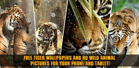 Slike Pozadine Tigar Najnovija Verzija Za Android Preuzmite Apk