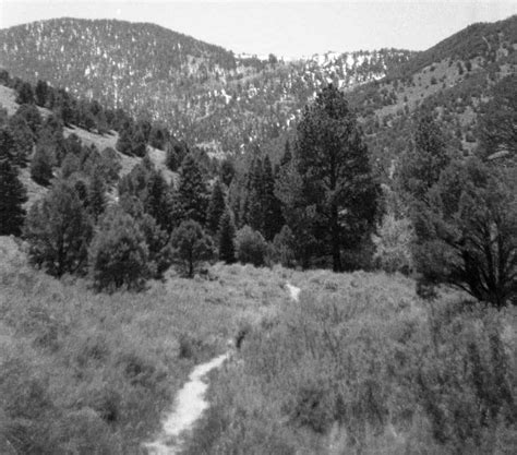 We stayed at the whispering elms where there is a small motel, an rv park and tent camping. Backcountry camping in Great Basin National Park - TMBtent