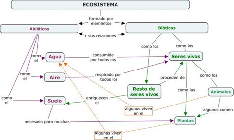 Cuadros sinópticos sobre Ecosistema y mapas conceptuales sobre