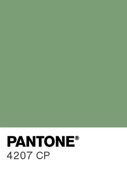 Pantone® España Pantone® 4207 Cp Find A Pantone Color Quick