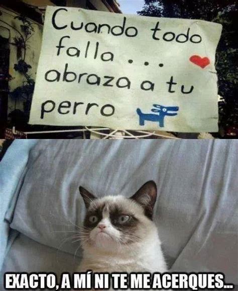 Maybe you would like to learn more about one of these? Imagenes y Memes graciosos de Gatos para Whatsapp | Fondos ...