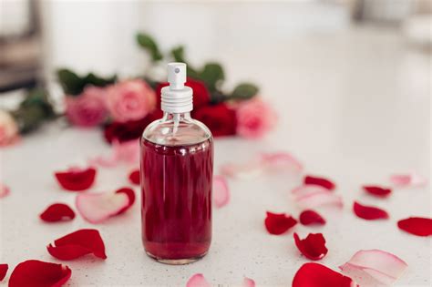 Cactus water combines lactic acid with a rainbow of vegetable & plant extracts to balance and promote evenness in your skin. DIY Rose water how to use your leftover roses from ...
