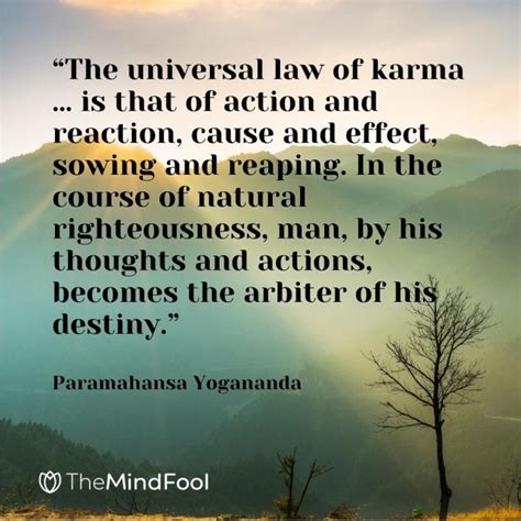 12 Laws Of Karma And Their Meanings Themindfool