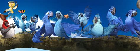 Rio 2 2014 Movie Hd Wallpapers And Facebook Cover Photos