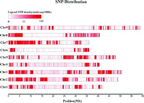 Snp Distribution On The Nine Foxtail Millet Chromosomes Snp Single