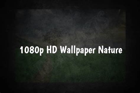 Download1080p Hd Wallpaper Nature All Uhd Techbeasts