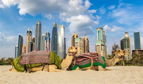 Dubai Culture From Desert Traditions To Modern Metropolis By