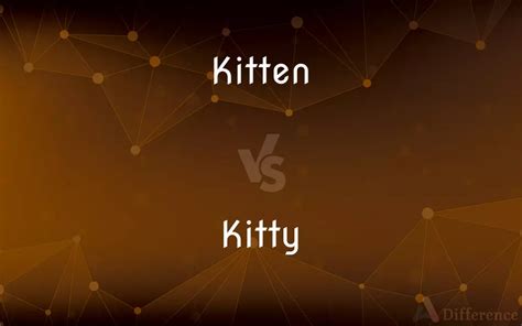 Kitten Vs Kitty — Whats The Difference