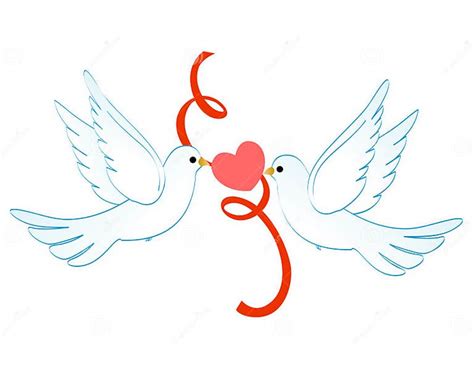 Doves Of Love Stock Vector Illustration Of Happy Pretty 8017532