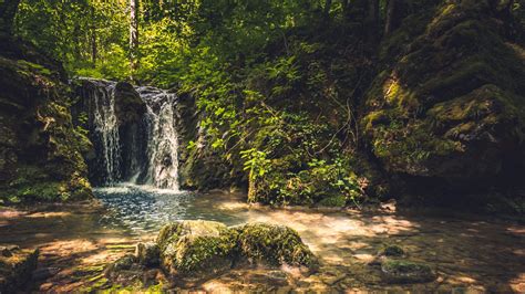 Waterfall Pouring On Lake Algae Covered Stones Surrounded By Green