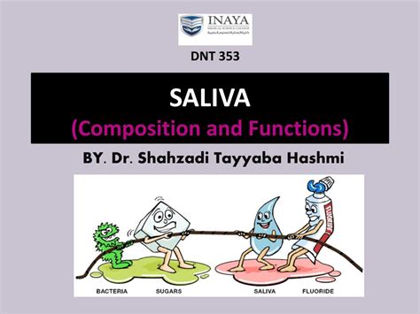 Ppt Saliva Composition And Functions Powerpoint Presentation Free