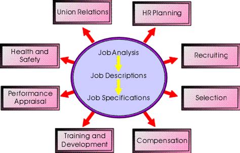 Job analysis is the process of studying a job to determine which activities and responsibilities it includes, its relative importance to other jobs, the qualifications necessary for performance of the job and the conditions under which the work is performed. CHAPTER SIX