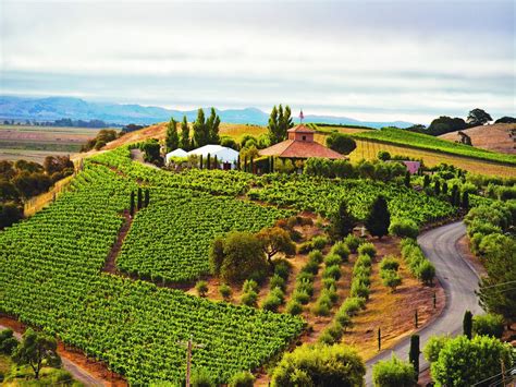 Vineyards For Sale Northern California Wineries