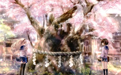 2girls Cherry Blossoms Seifuku Anime