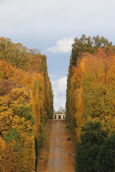 Things To Do In Vienna In Autumn Schoenbrunn Palace And Park