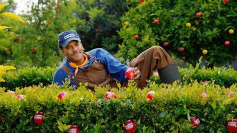 BuzzBallz® Launches New Ad Campaign with Abbott Elementary Star and