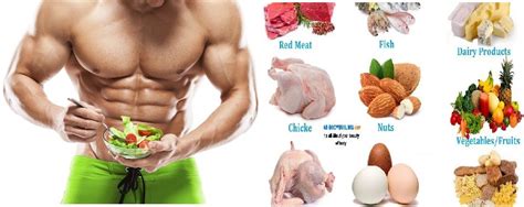 The Best Muscle Building Foods For Size And Strength