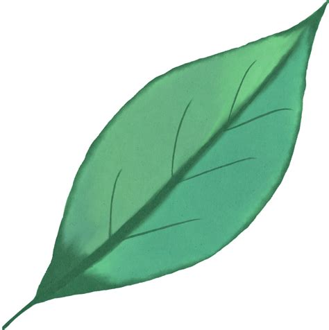 Watercolour Green Leaf 13251555 Png