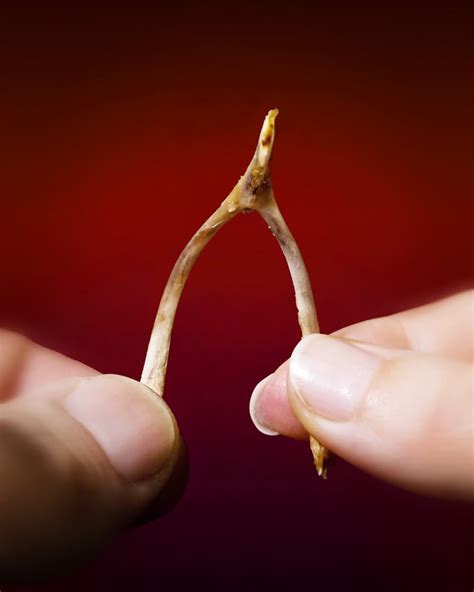 Whats A Wishbone And Why Do We Crack It The Kitchn