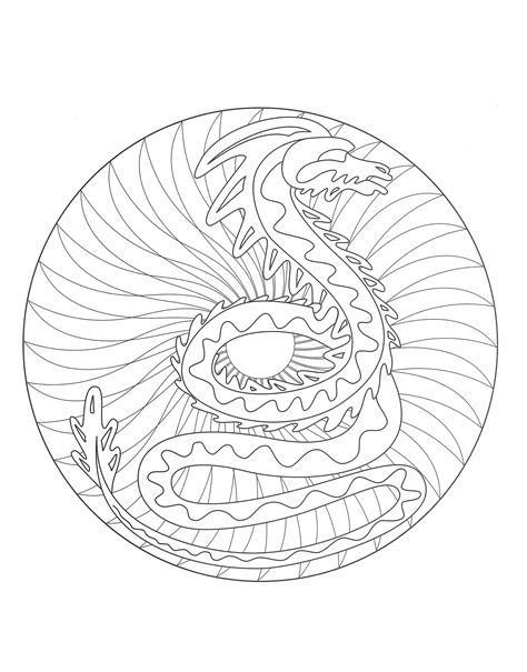 Dragon Mandala Coloring Coloring Pages