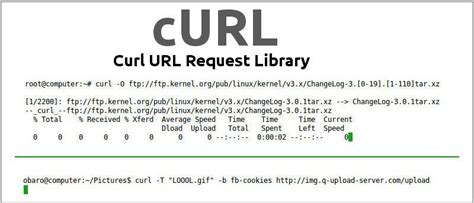 How To Use Curl Command In Linux Make Tech Easier Linux Linux